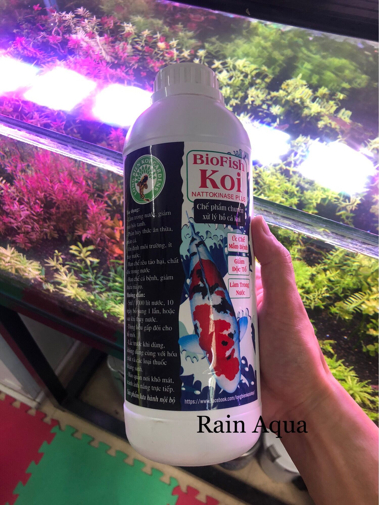Biofish koi- chai vi sinh làm trong nước bể cá
