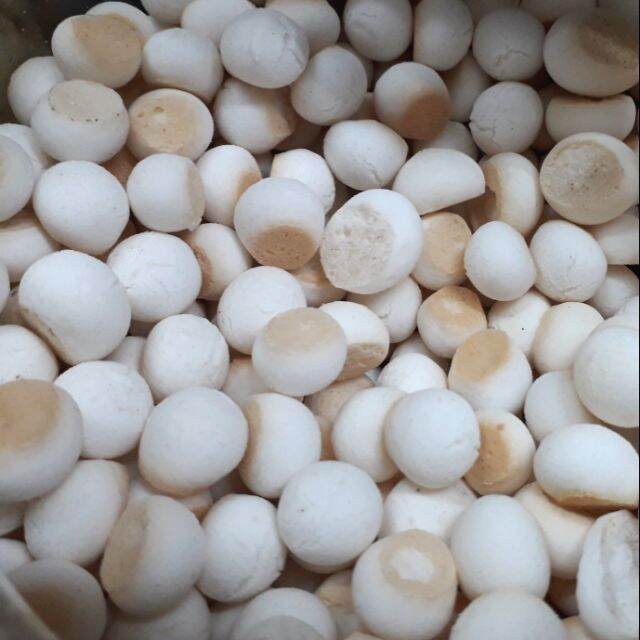 BÁNH MEN SỮA NƯỚC CỐT DỪA 500G