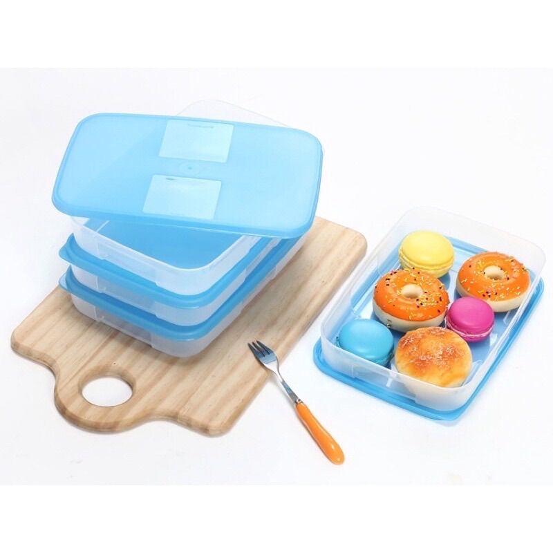 Hộp trữ đông Tupperware 650ml set 4 hộp