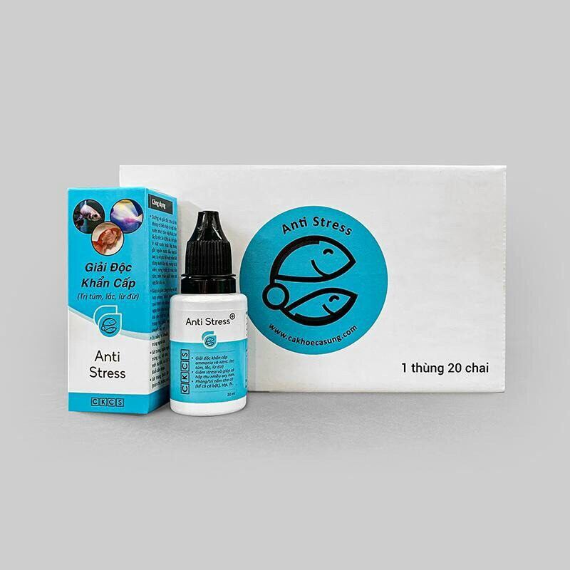 Anti Stress