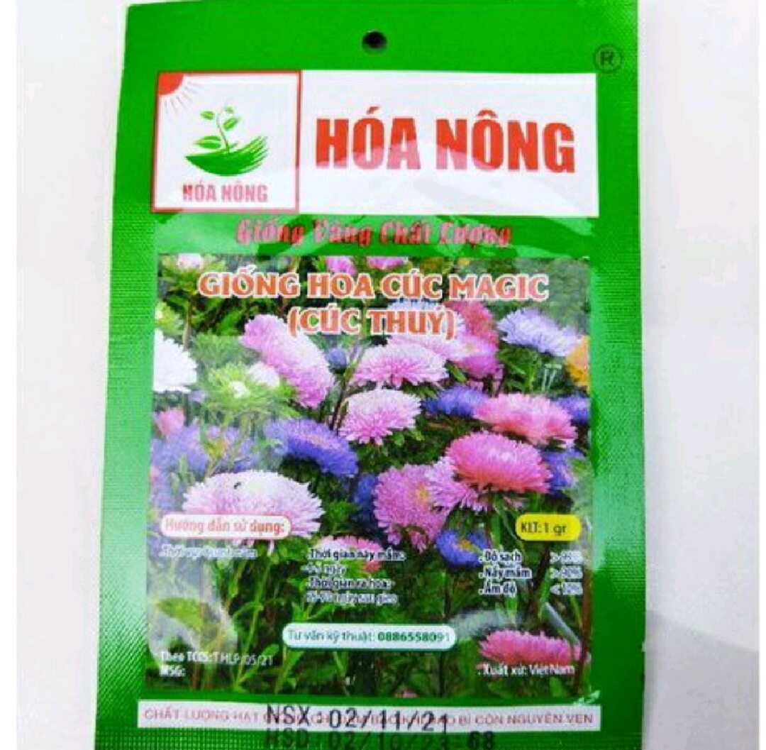 Hạt Giống Hoa Cúc Magic (Cúc Thuý) gói 1g