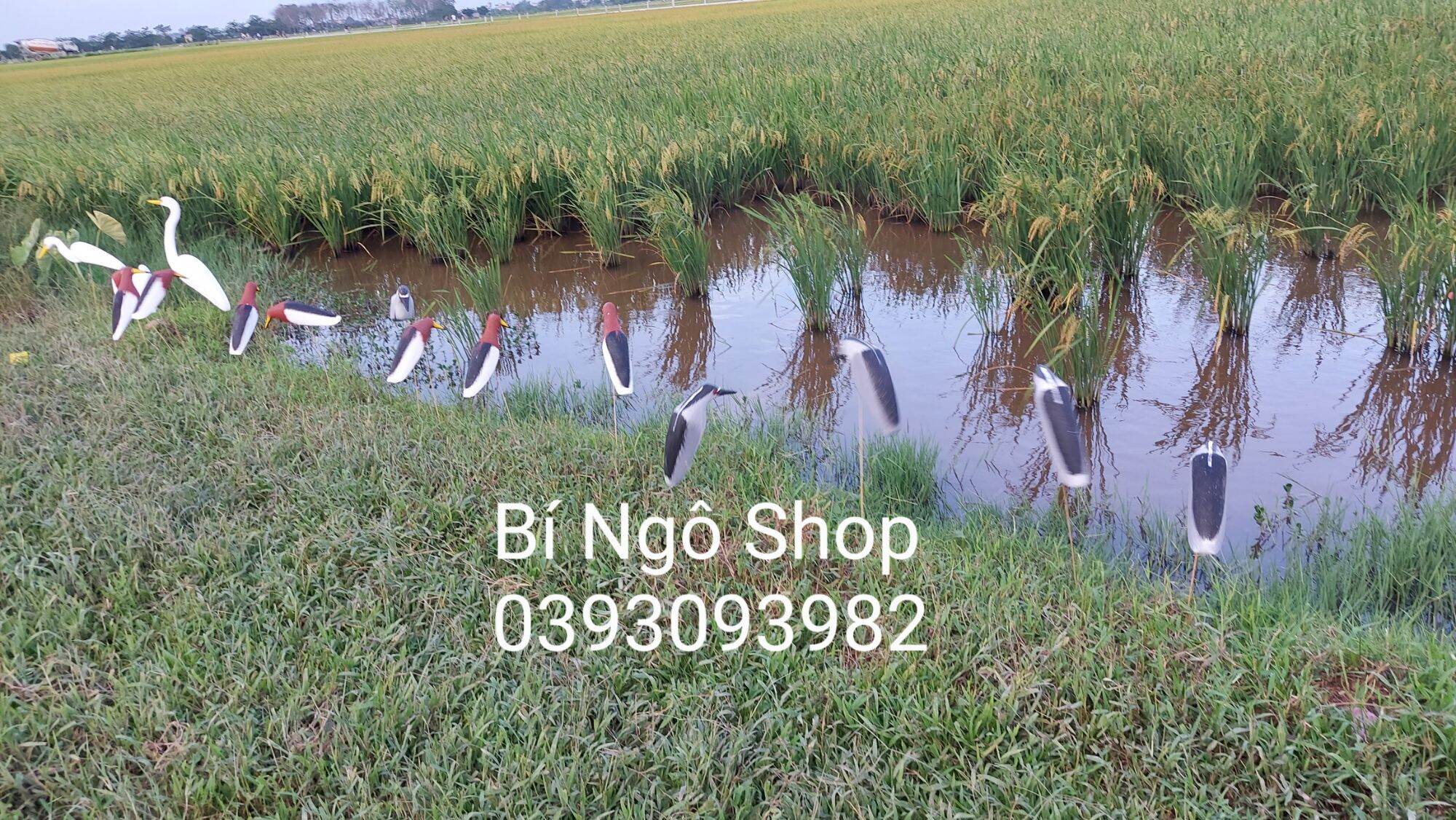 Combo 3 con cò bợ xốp