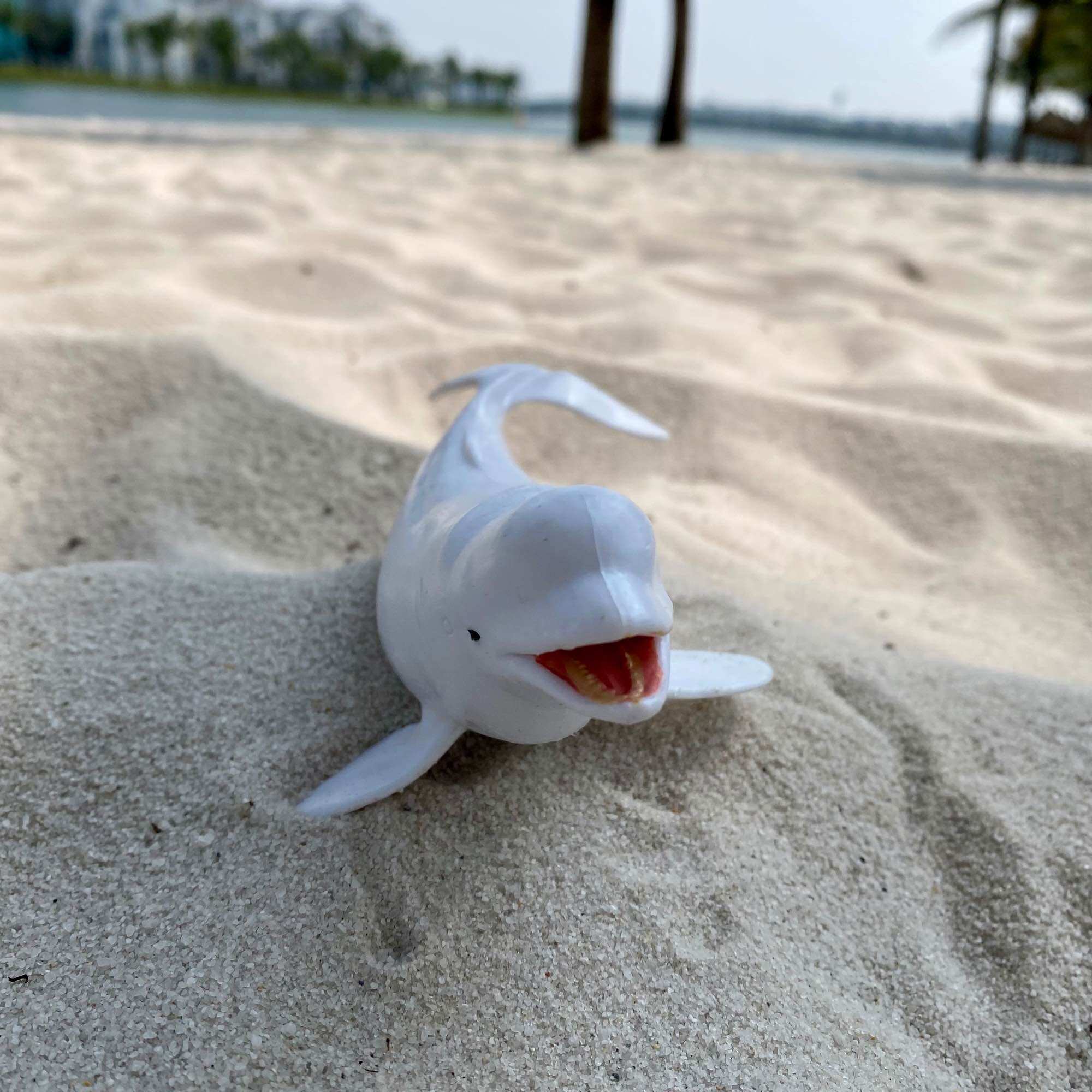 Mô hình động vật con cá voi trắng cá heo trắng Beluga