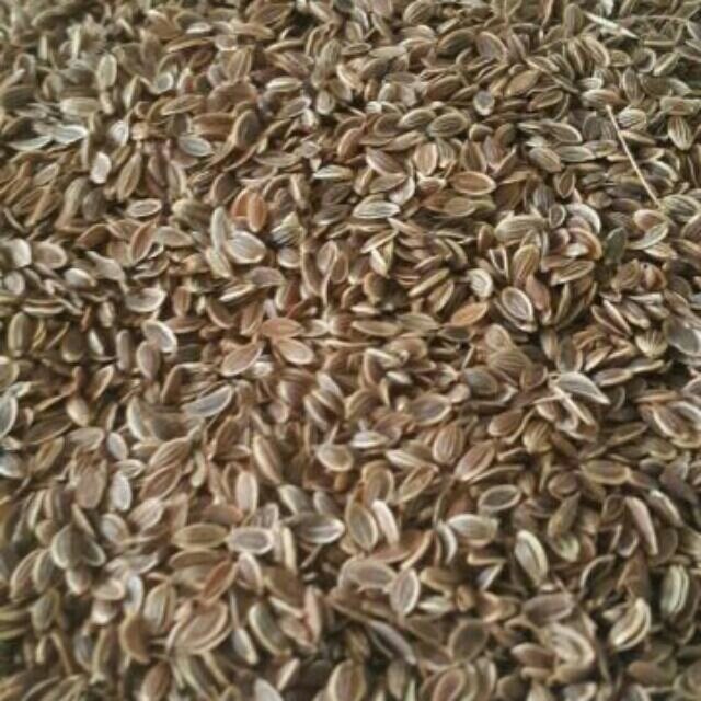 100g hạt thì là