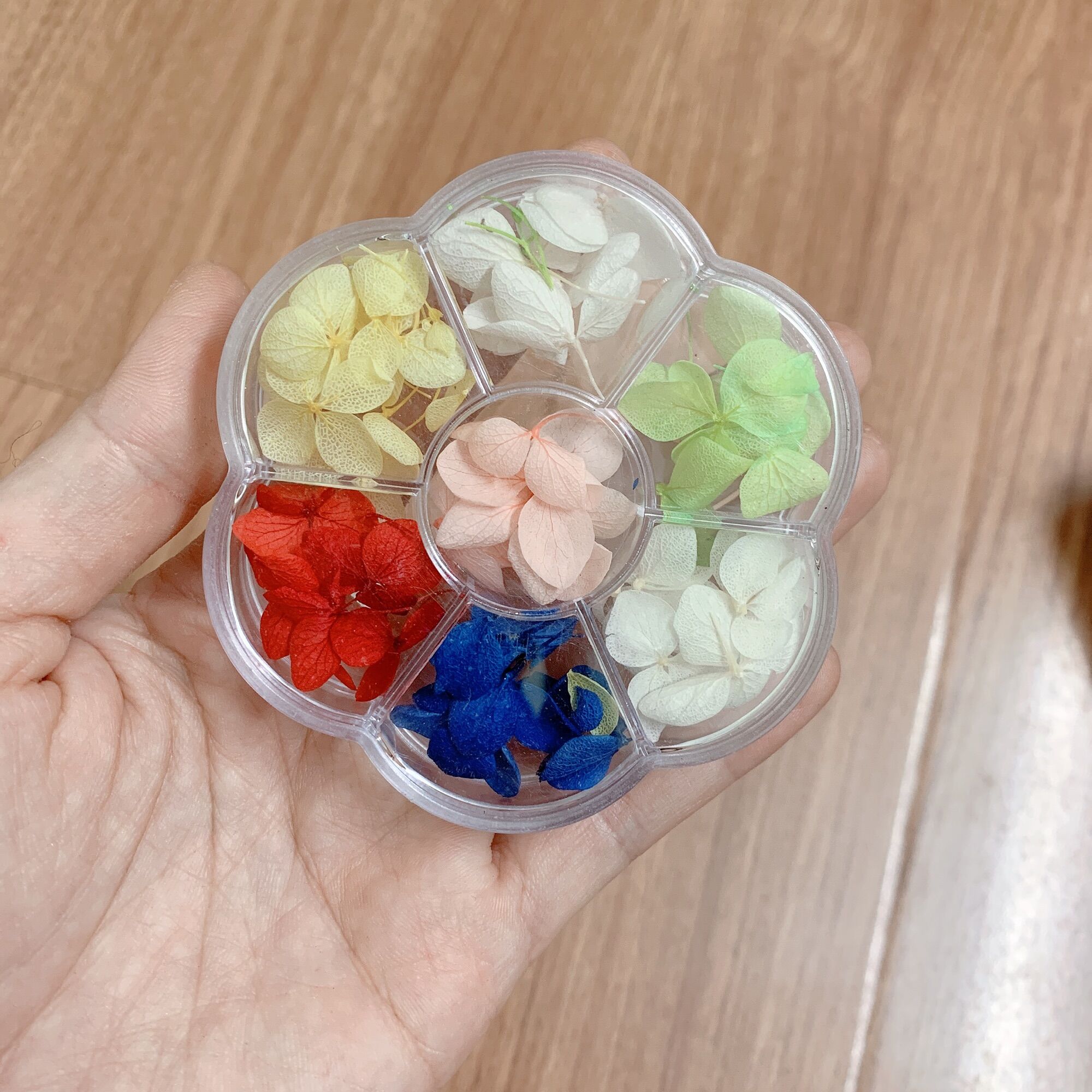 Hoa khô ombre ẩn gel, hoa khô cánh to làm nail, hoa làm nail