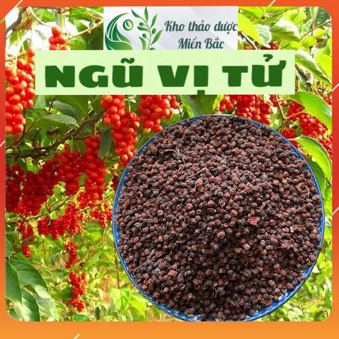 Ngũ Vị Tử Bắc, Sơn hoa tiêu, ngũ mai tử; huyền cập. Hàng nguyên chất, mới, khô, sạch, không pha trộn