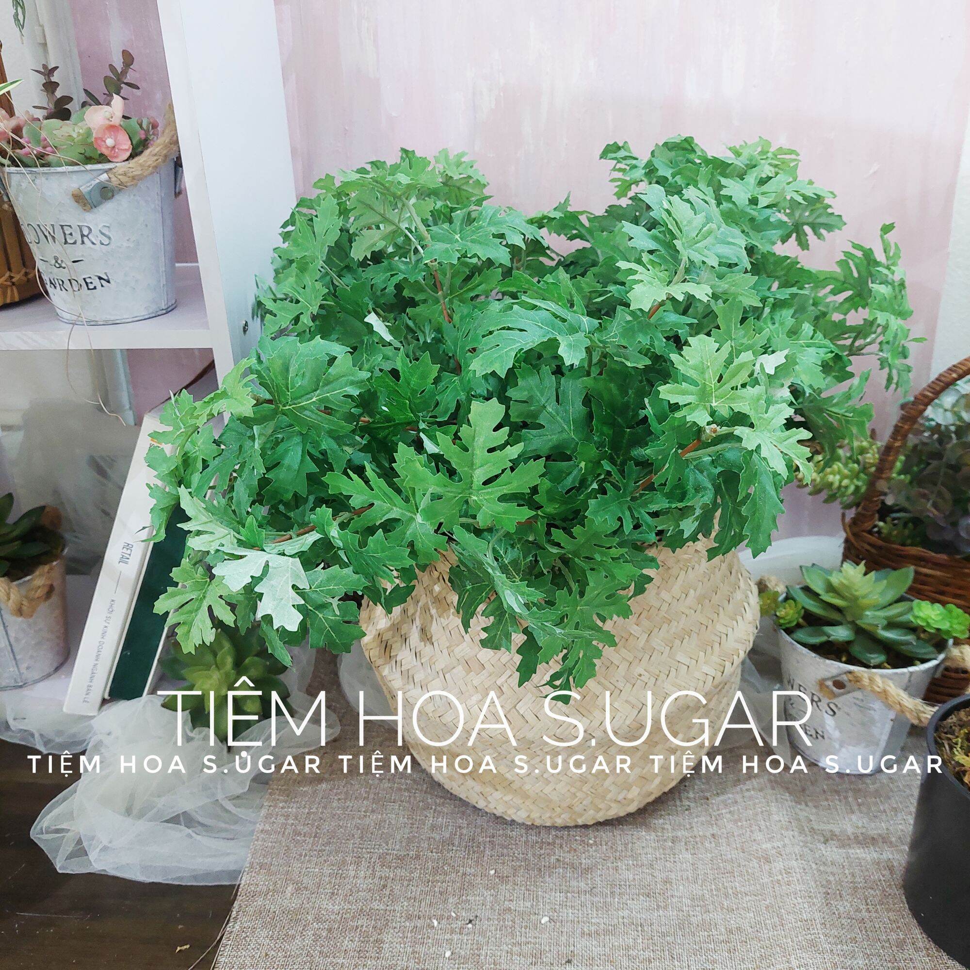 Cây cảnh giả decor cây trang trí