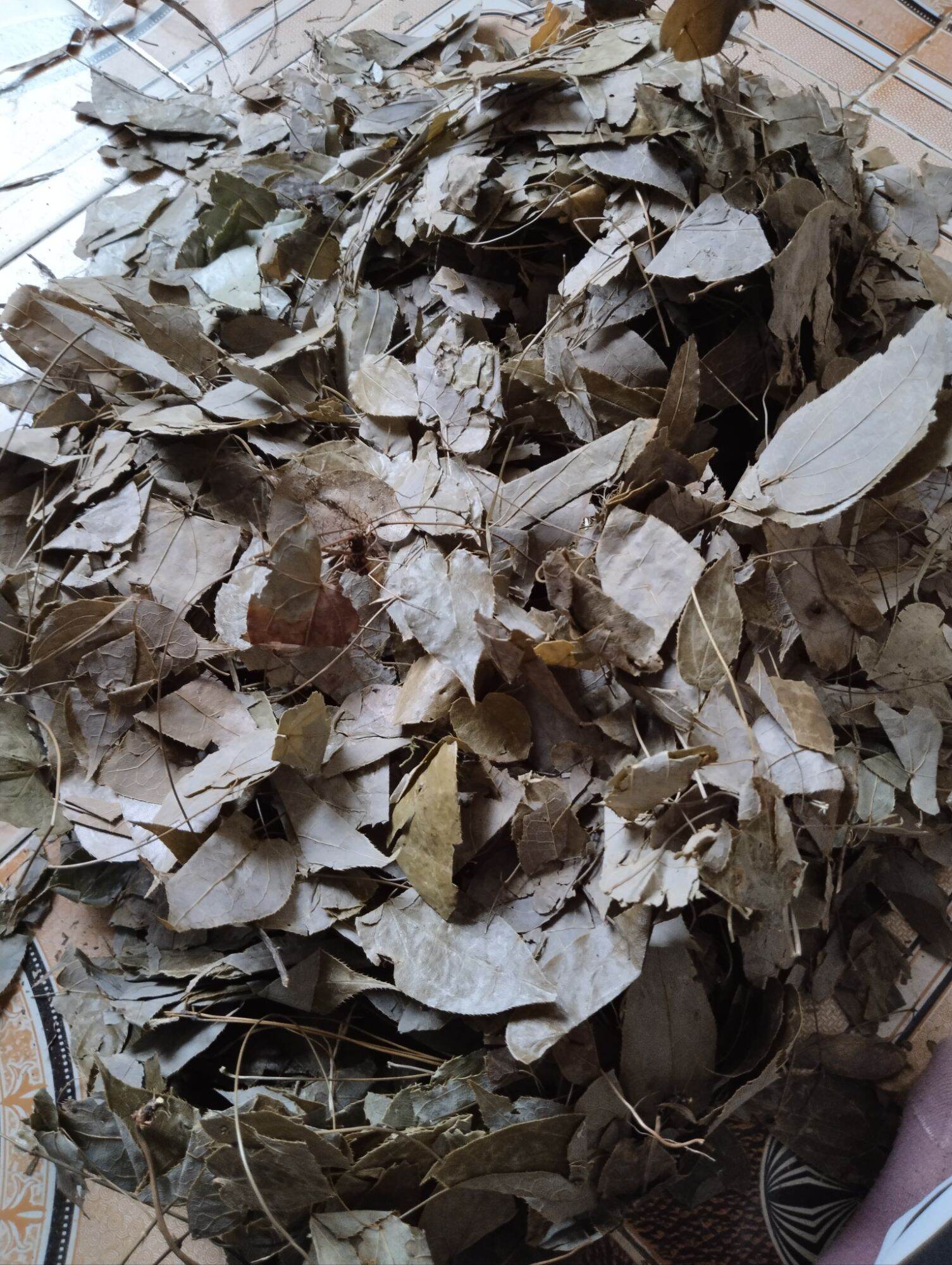 Lá dâm dương hoắc túi 500g