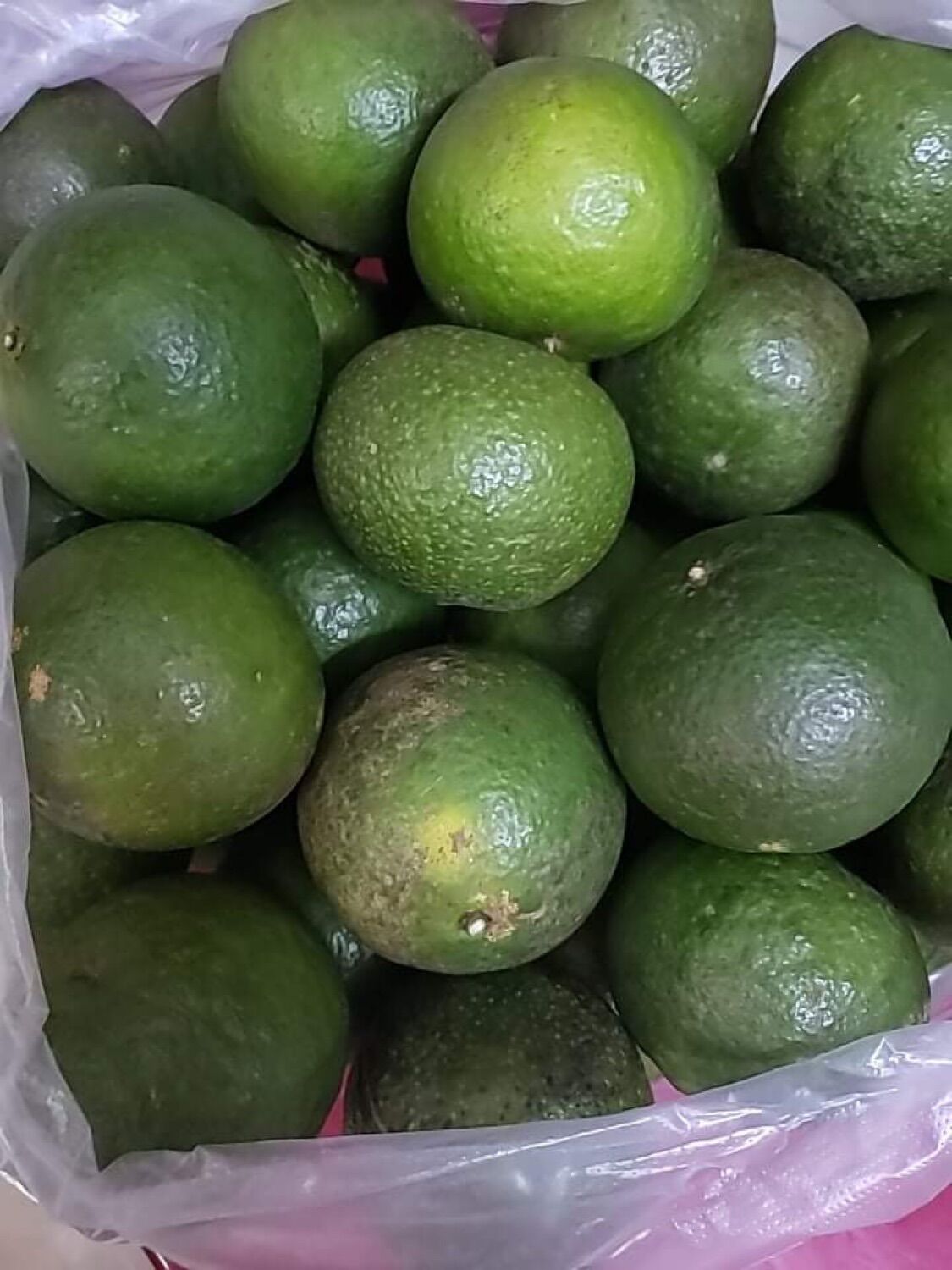 Cam hiếu liêm nhà vườn 35k/1kg