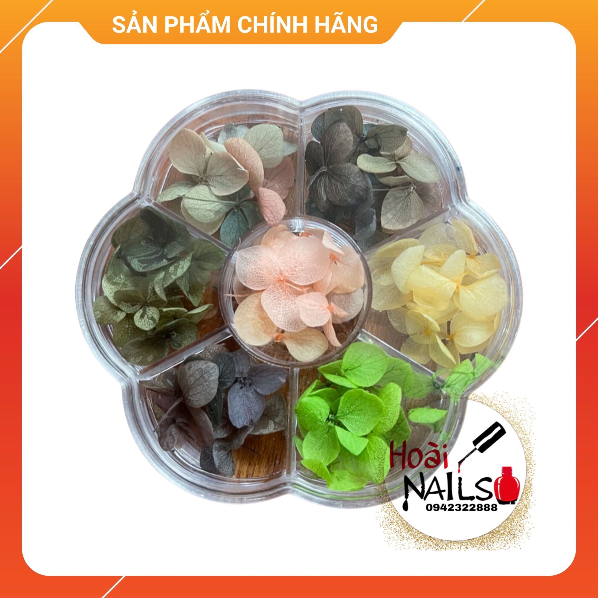 Hoa khô ẩn Phụ kiện Nail