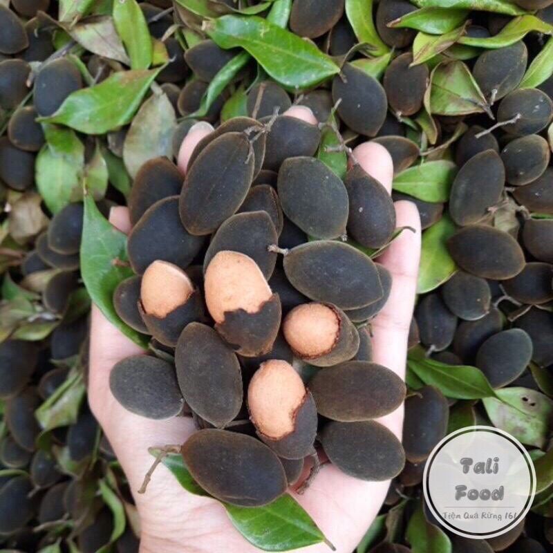 Trái xay/say rừng gia lai tặng kèm muối siêu ngon tali food_tiệm quả rừng 161