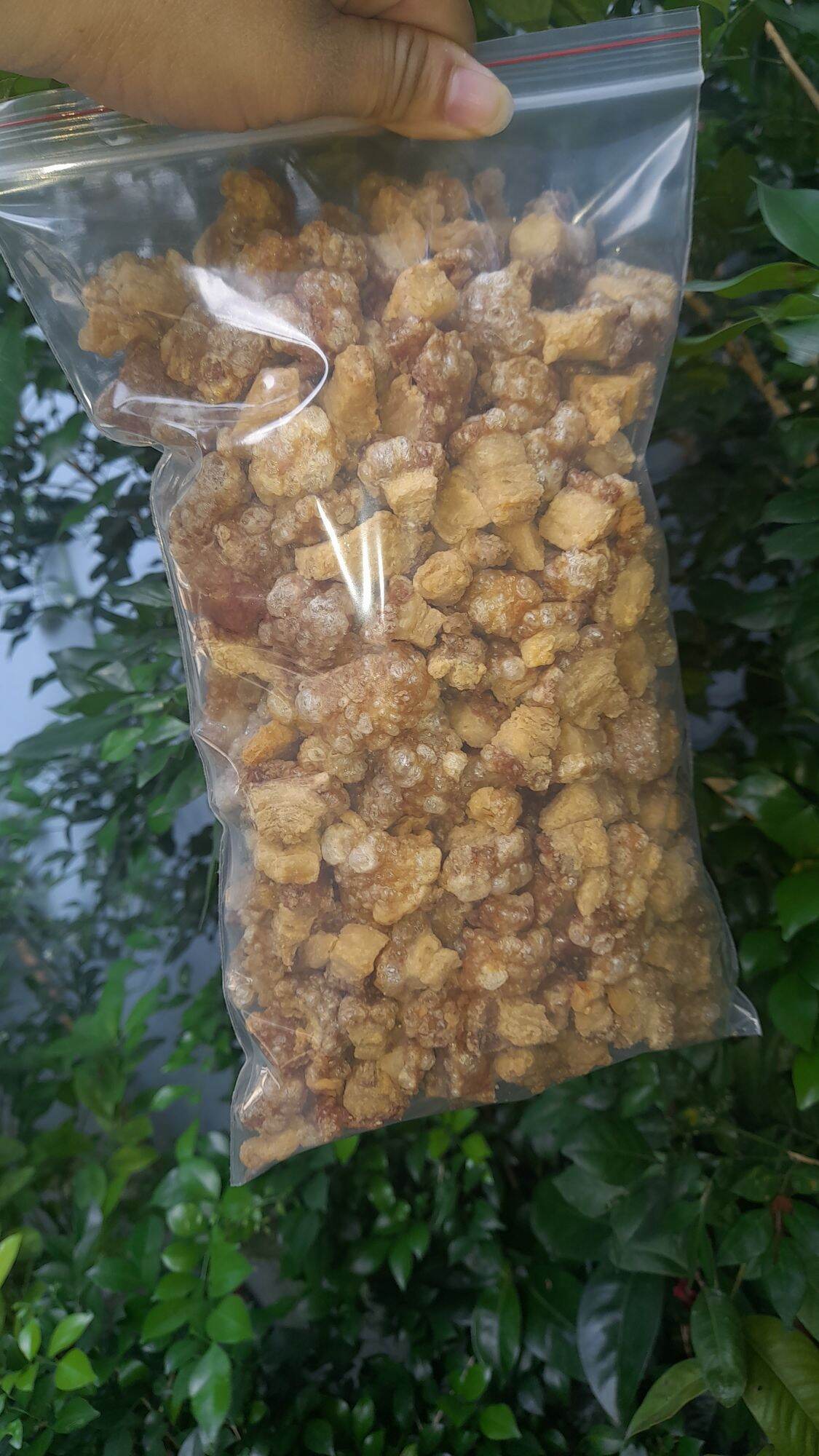 tép mỡ