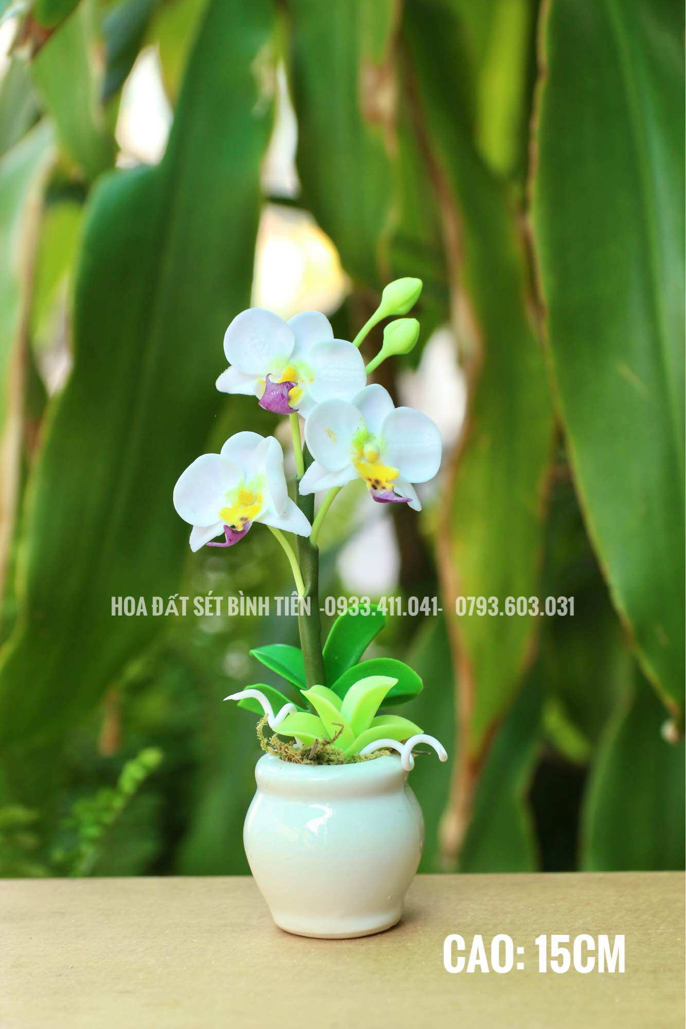 Chậu hoa đất sét- lan hồ điệp