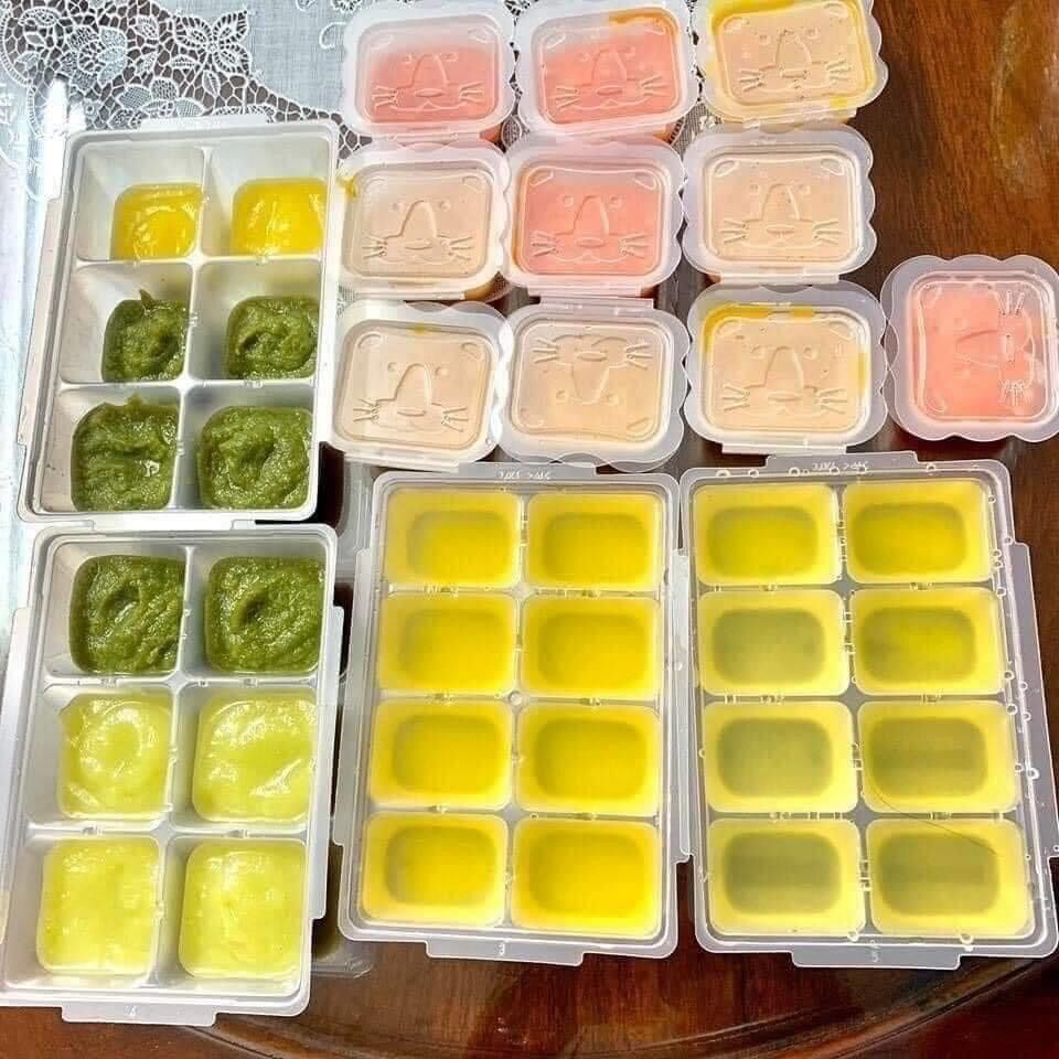 KHAY TRỮ ĐÔNG RICHELL NHẬT