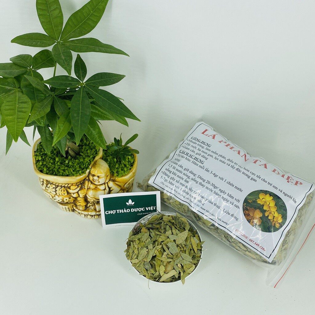 200g lá phan tả diệp