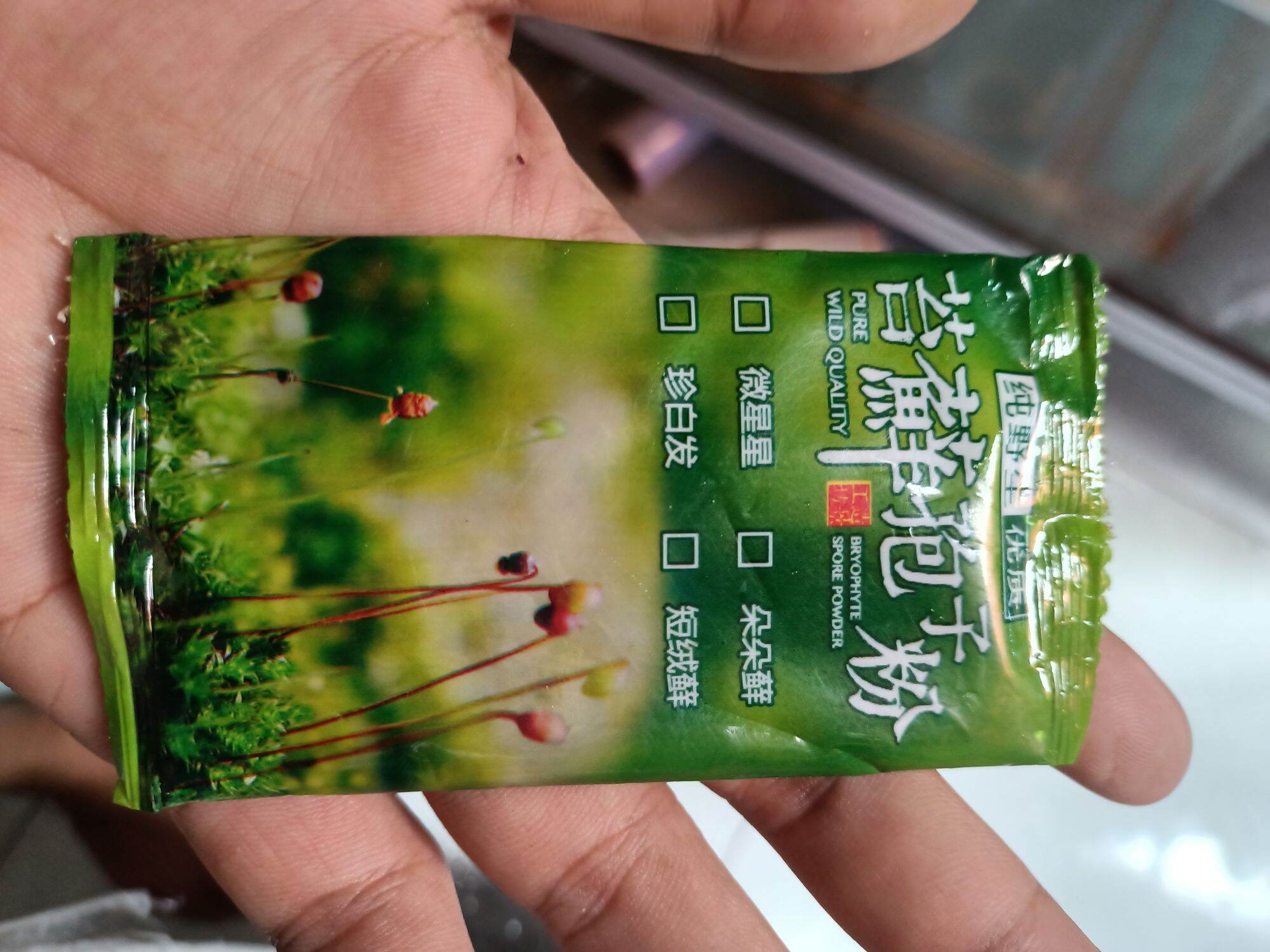 Hạt Giống Kích Rêu Trên Đá Bán Cạn