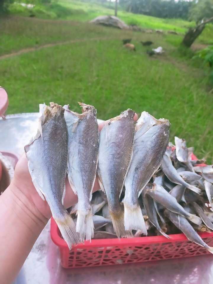 khô cá lù đù 60k/ 0,5 kg