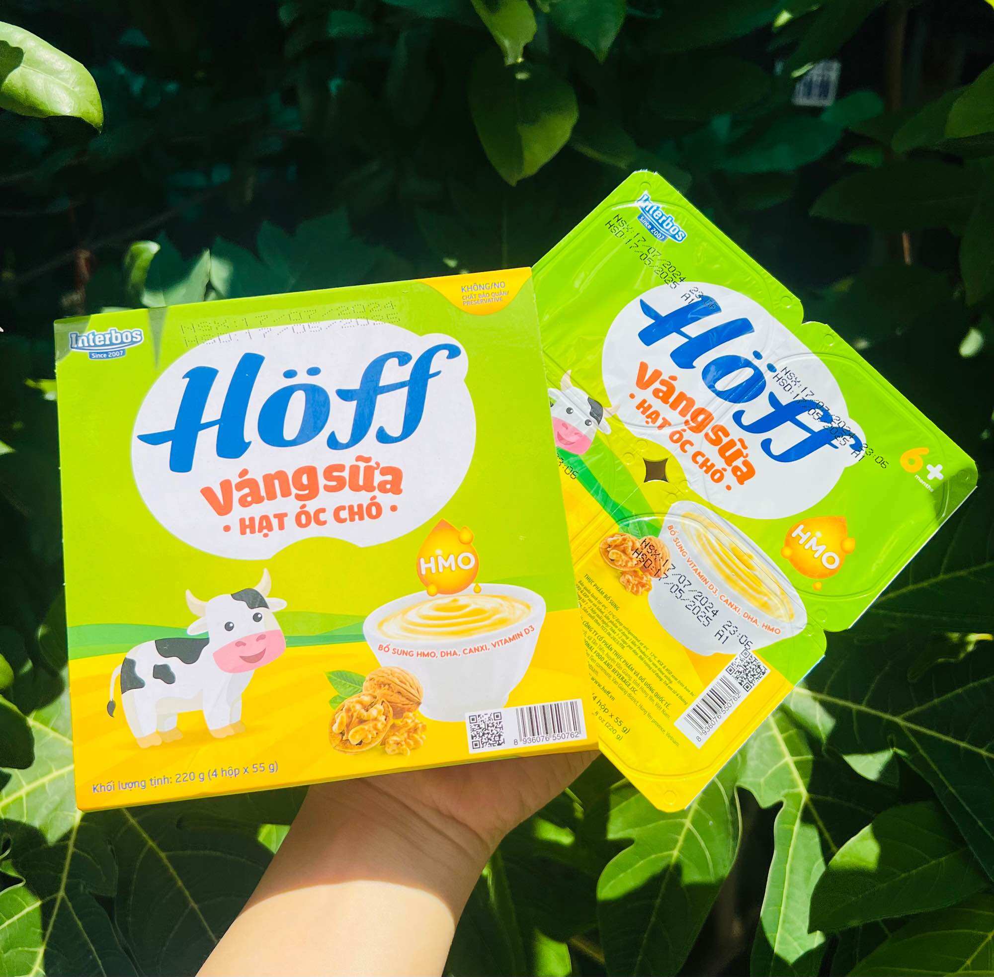 Lốc 4 hộp váng sữa Gotz Hoff đủ vị