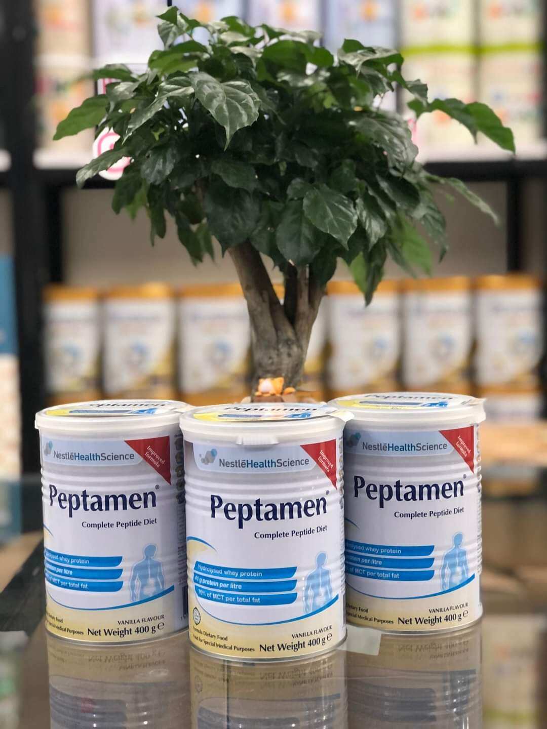 Sữa bột peptamen