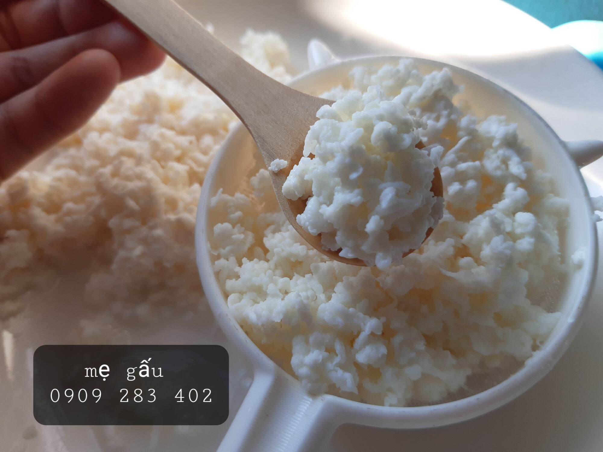 1 phần nấm sữa kefir  + 1 vợt nhựa, nấm sữa làm sữa chua, rây lọc bằng nhựa,lọc trà hay lọc nấm sữa kefir, rây bột