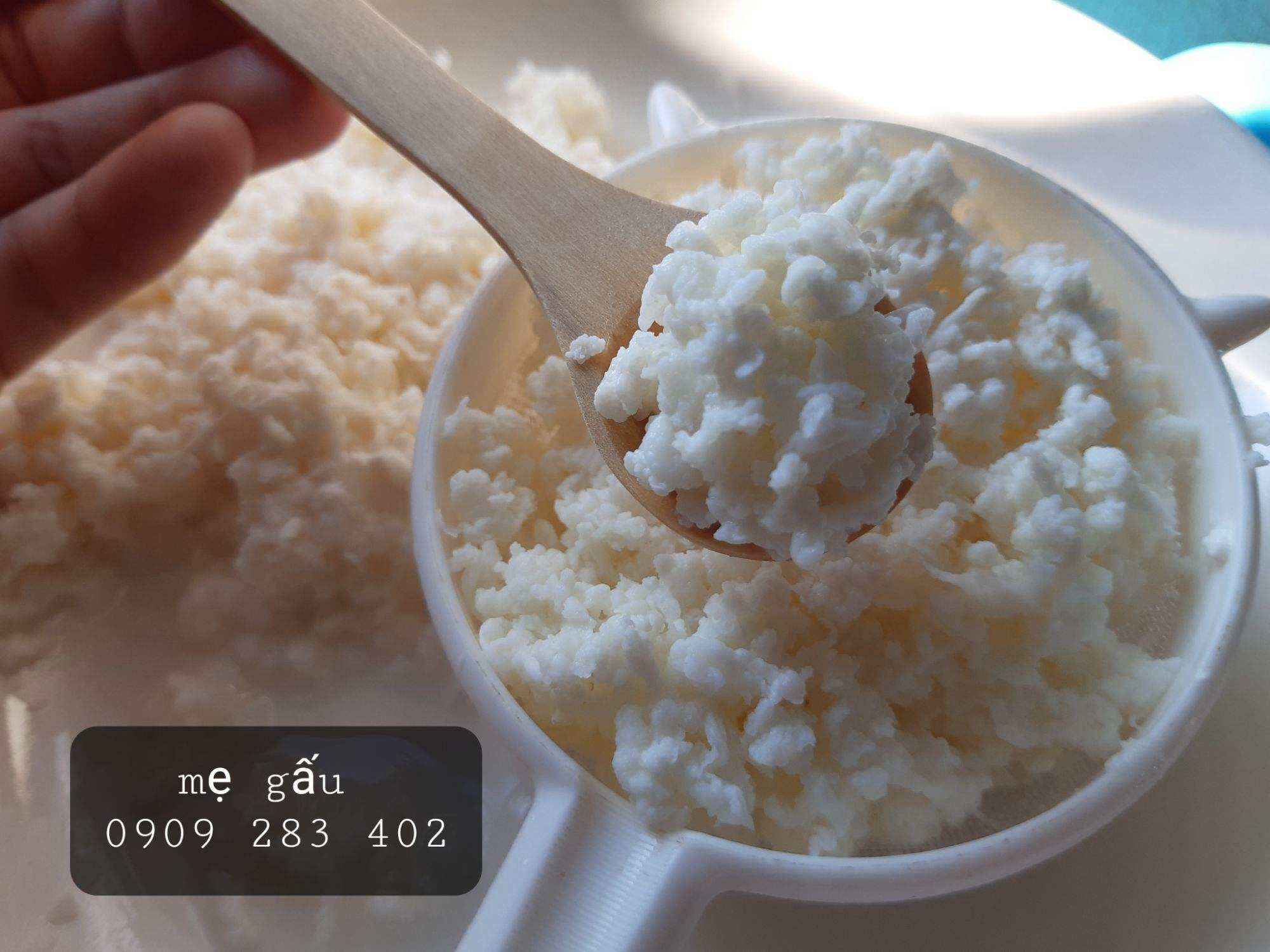 1 phần nấm sữa kefir  + 1 vợt nhựa, nấm sữa làm sữa chua, rây lọc bằng nhựa,lọc trà hay lọc nấm sữa kefir, rây bột