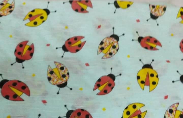 Vải cotton 2 chiều, 4 chiều