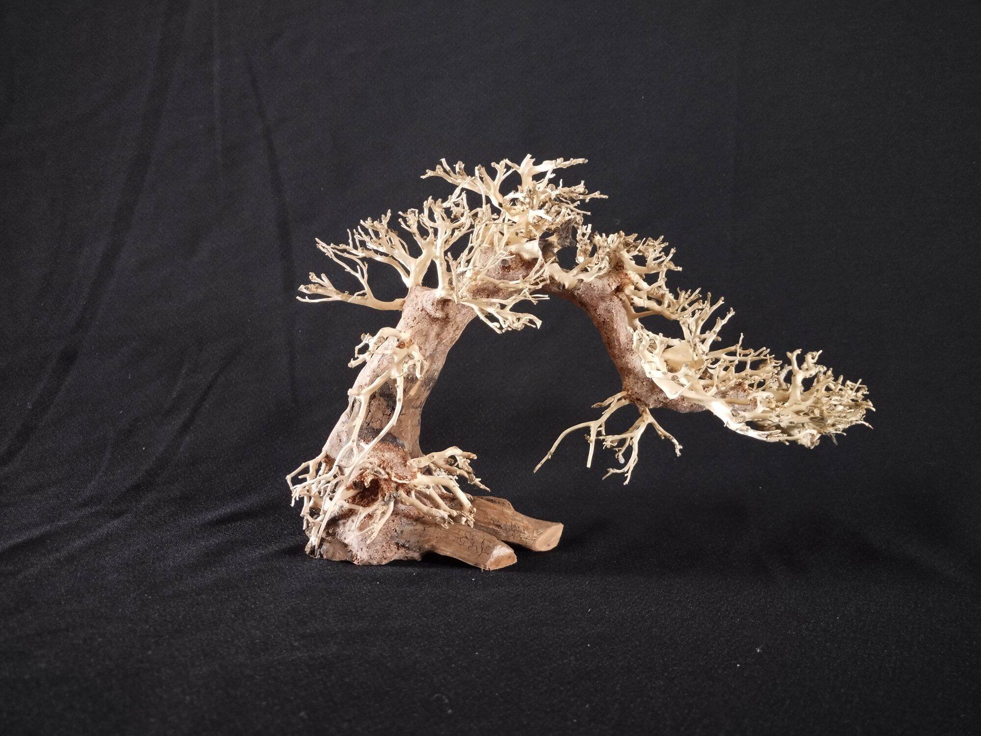 Bonsai thủy sinh dáng đổ cho hồ cá thủy sinh < 30 cm