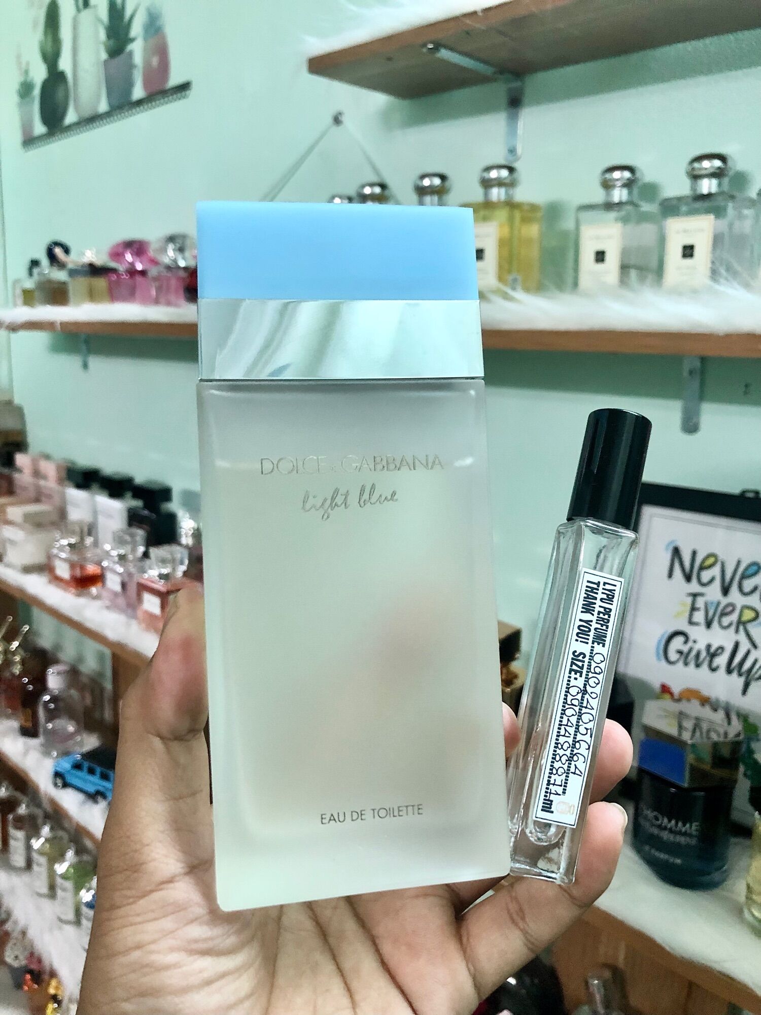 Nước hoa nữ dg light blue edt