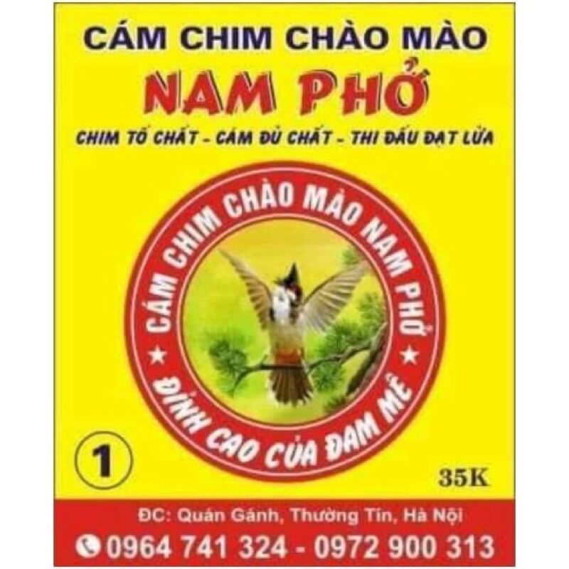 Cám nam phở chào mào số 2
