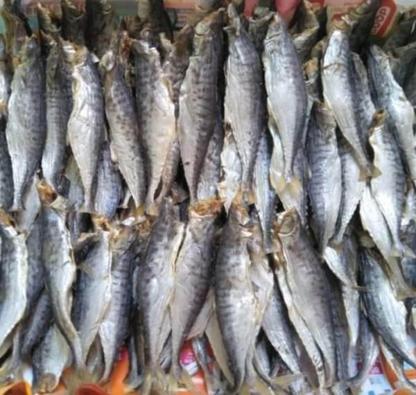 Khô cá thu giòn dai 1kg