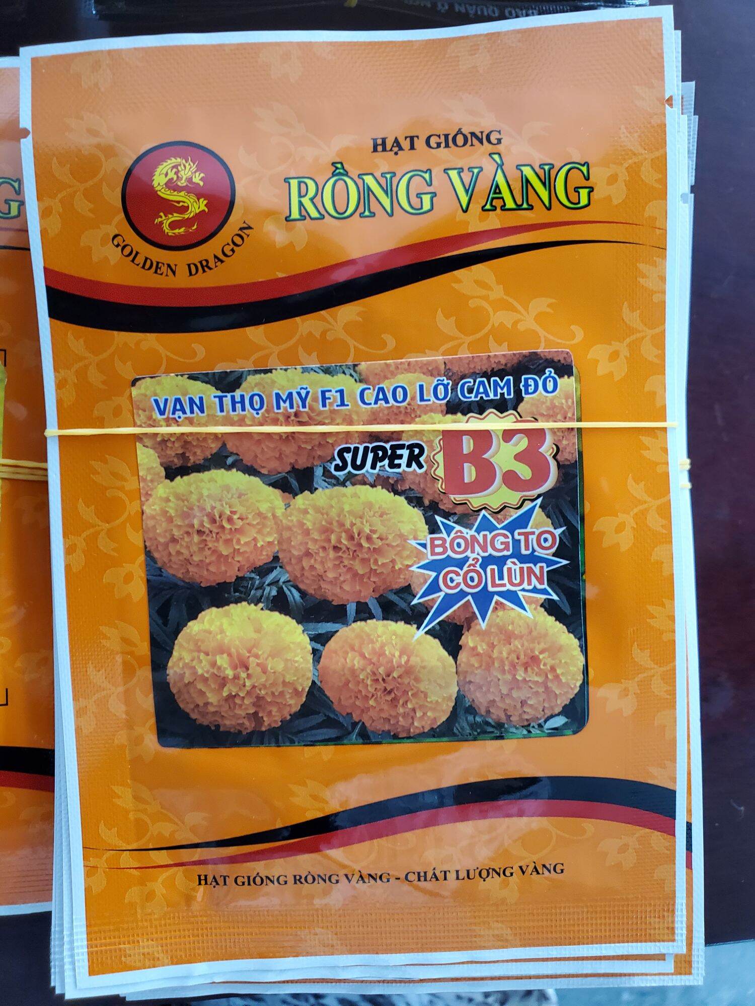 Hạt giống vạn thọ Rồng Vàng B3