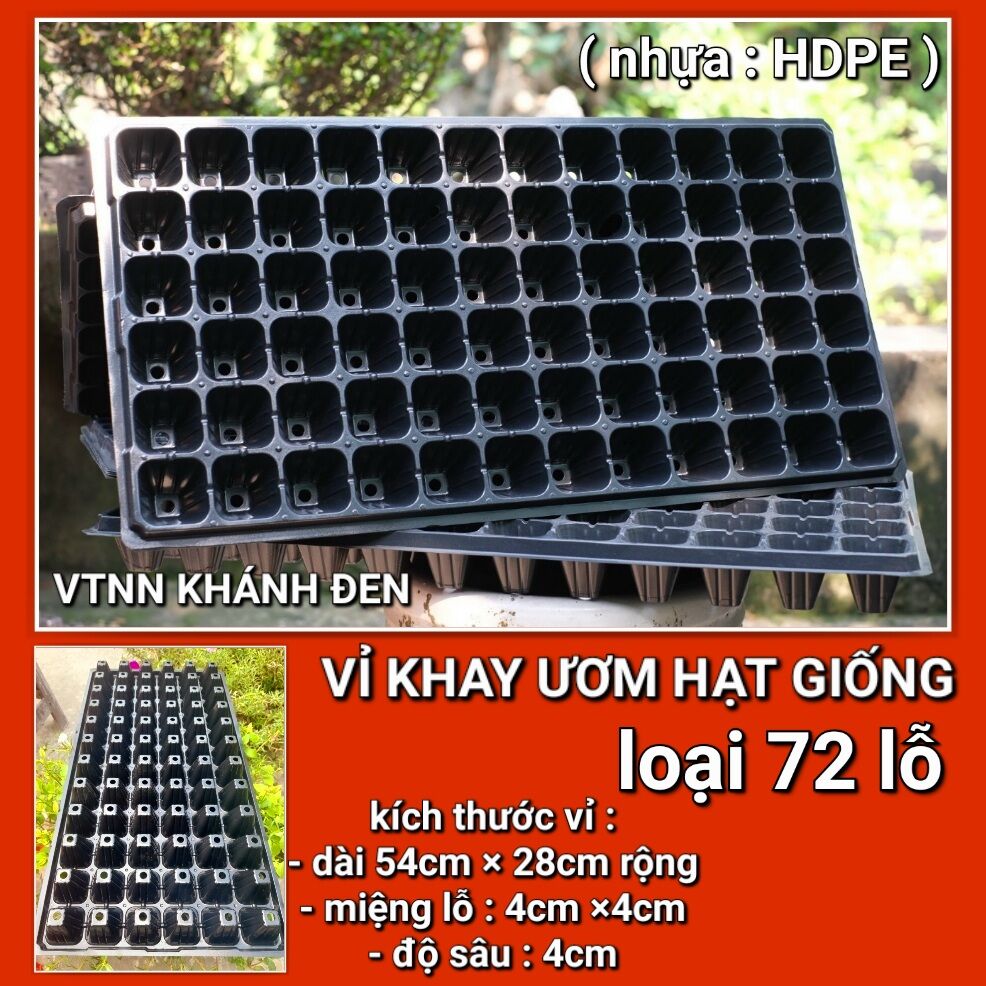 Combo 5 khay & 10 khay vỉ ươm hạt giống 72 lỗ