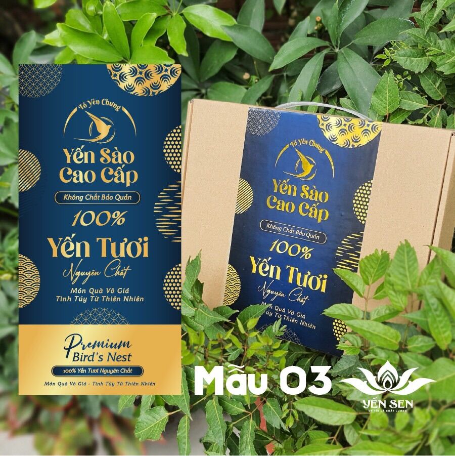 Combo Hộp giấy cao cấp đựng 10 hủ yến (hộp nâu)