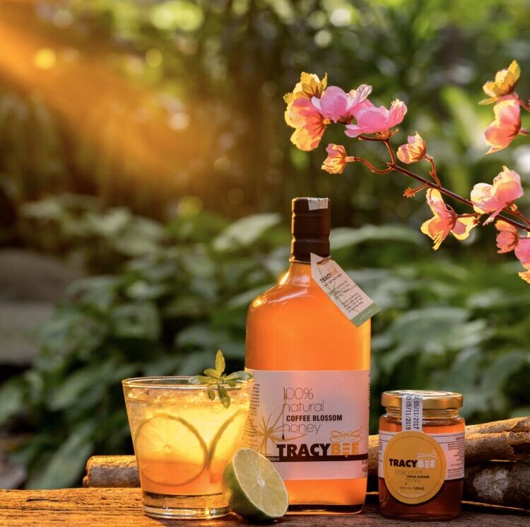 [HCM] Mật ong hoa cà phê Tracybee 600ml