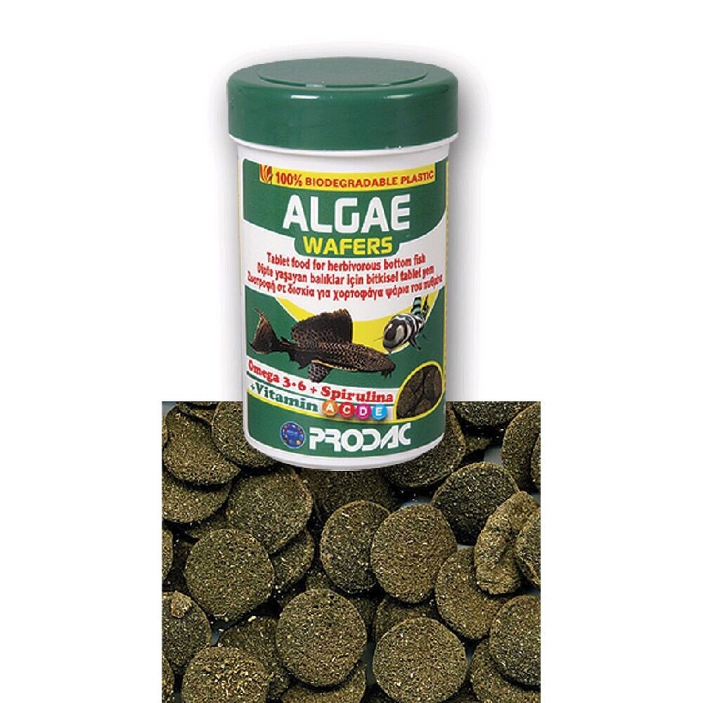 Thức ăn cá tầng đáy, pleco, cá chuột, dọn hồ... Algae wafers