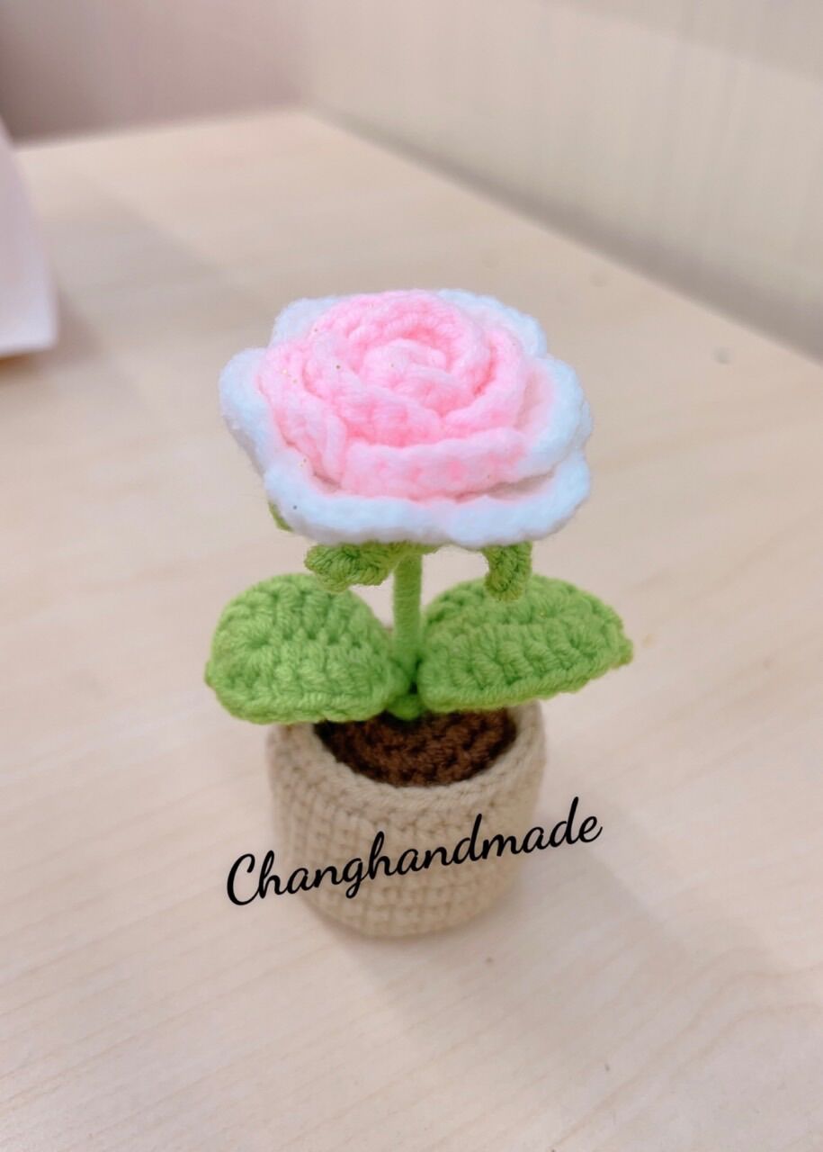 Chậu hoa hồng mini trang trí bằng len