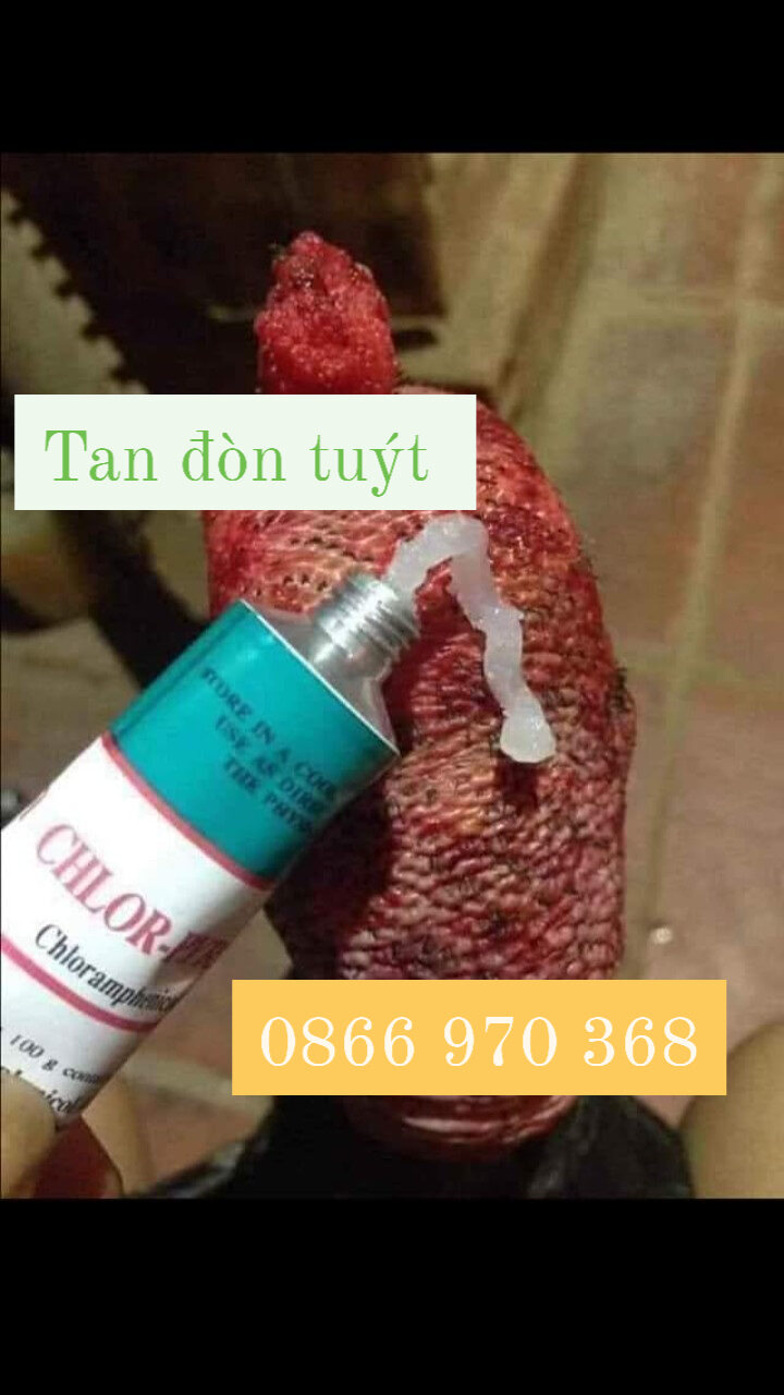 Cao Tan đòn tuýt thái UD 96 thái lan tan đòn cho gà chọi, gà đá