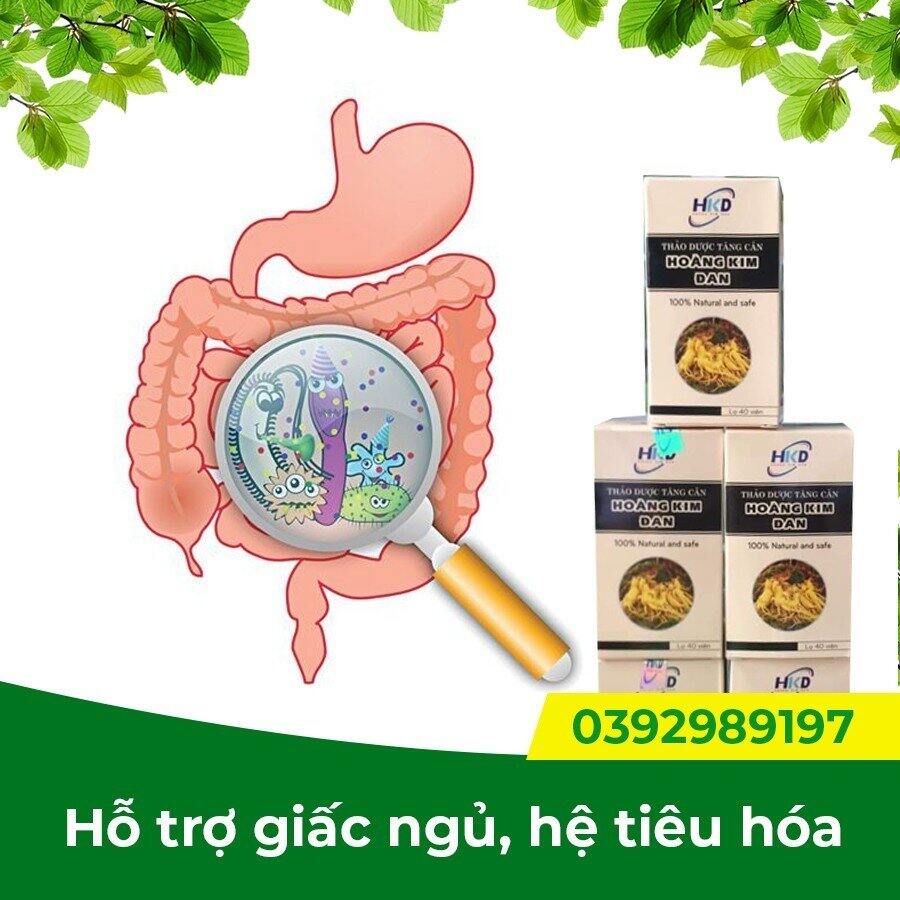 Tăng Cân Hoàng Kim Đan ( mẫu mới)