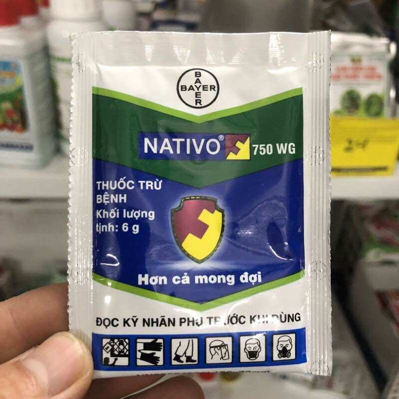 Nativo 750ưg 6g sản phẩm trừ bệnh gỉ sắt, thán thư, đốm lá, phấn trắng hoa cây cảnh