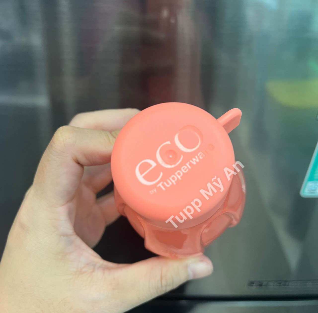 Bình nước Tupperware Eco Bottle 310ml