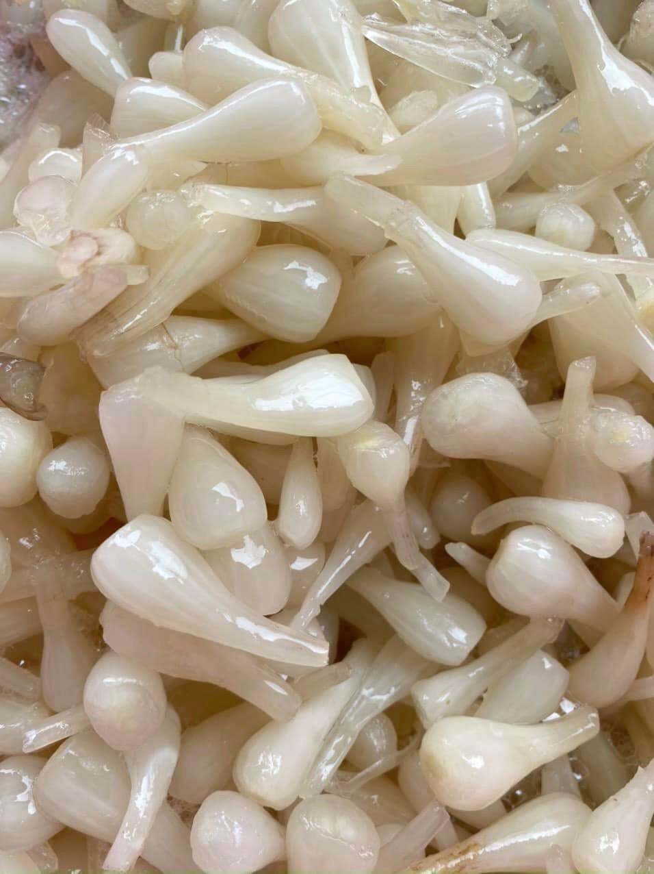 500gr Củ Kiệu Ngâm Chua Ngọt Làm Nhà