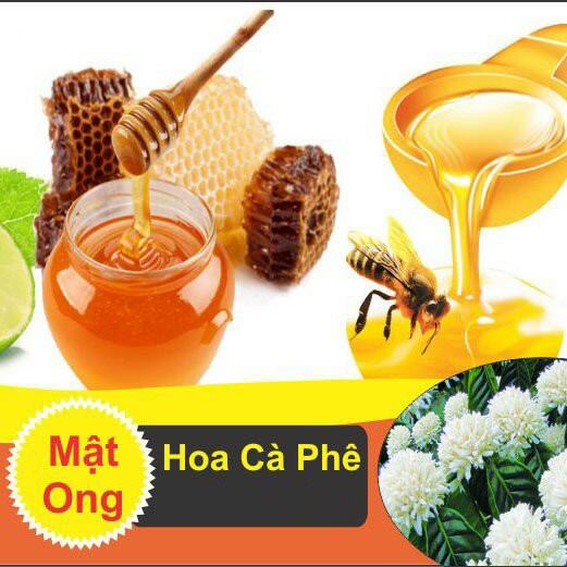 Mật Ong Hoa Cà Phê