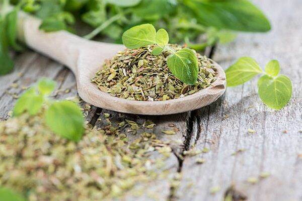 Lá Oregano 50gr