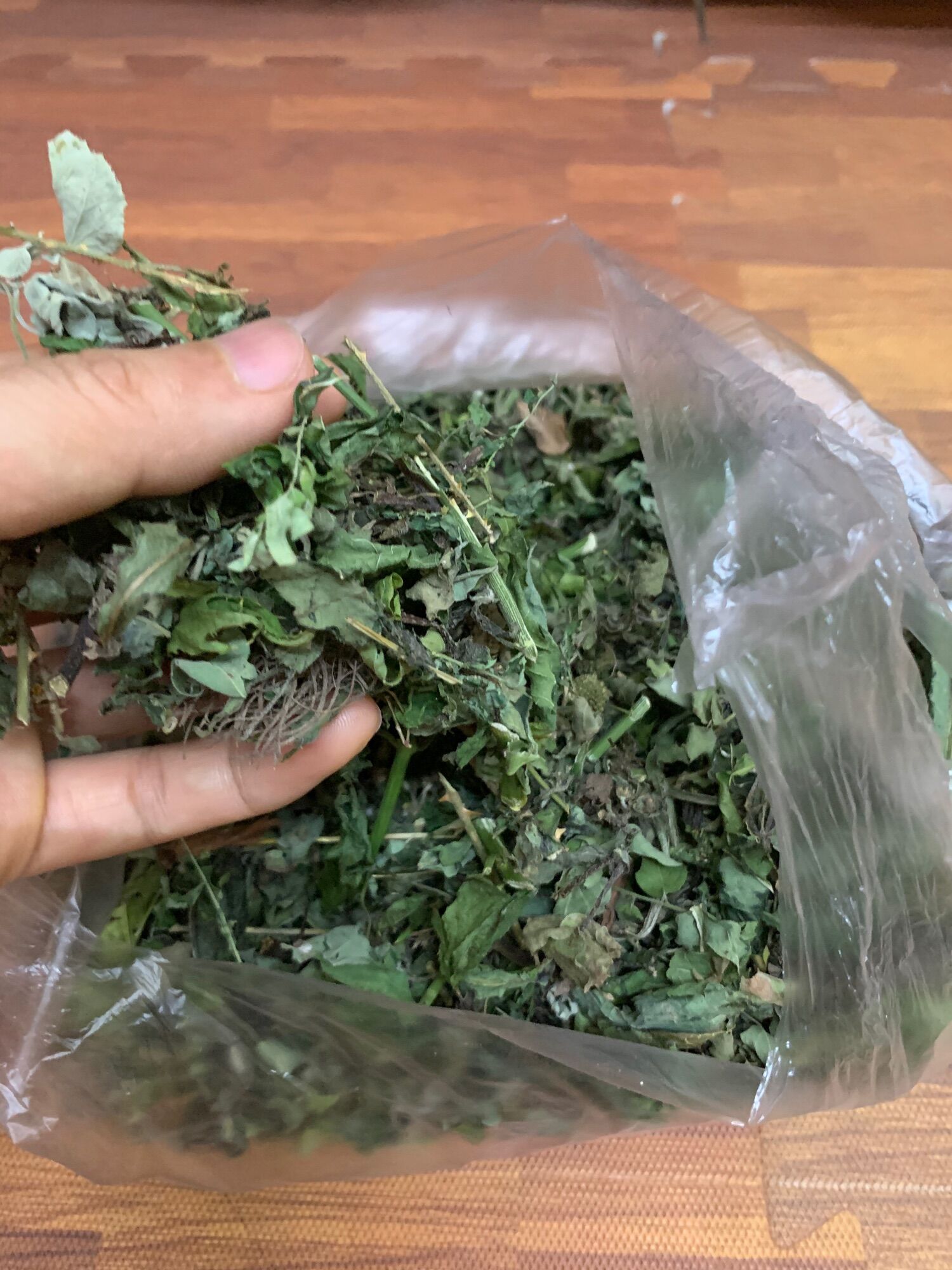 Lá  trĩ gia truyền