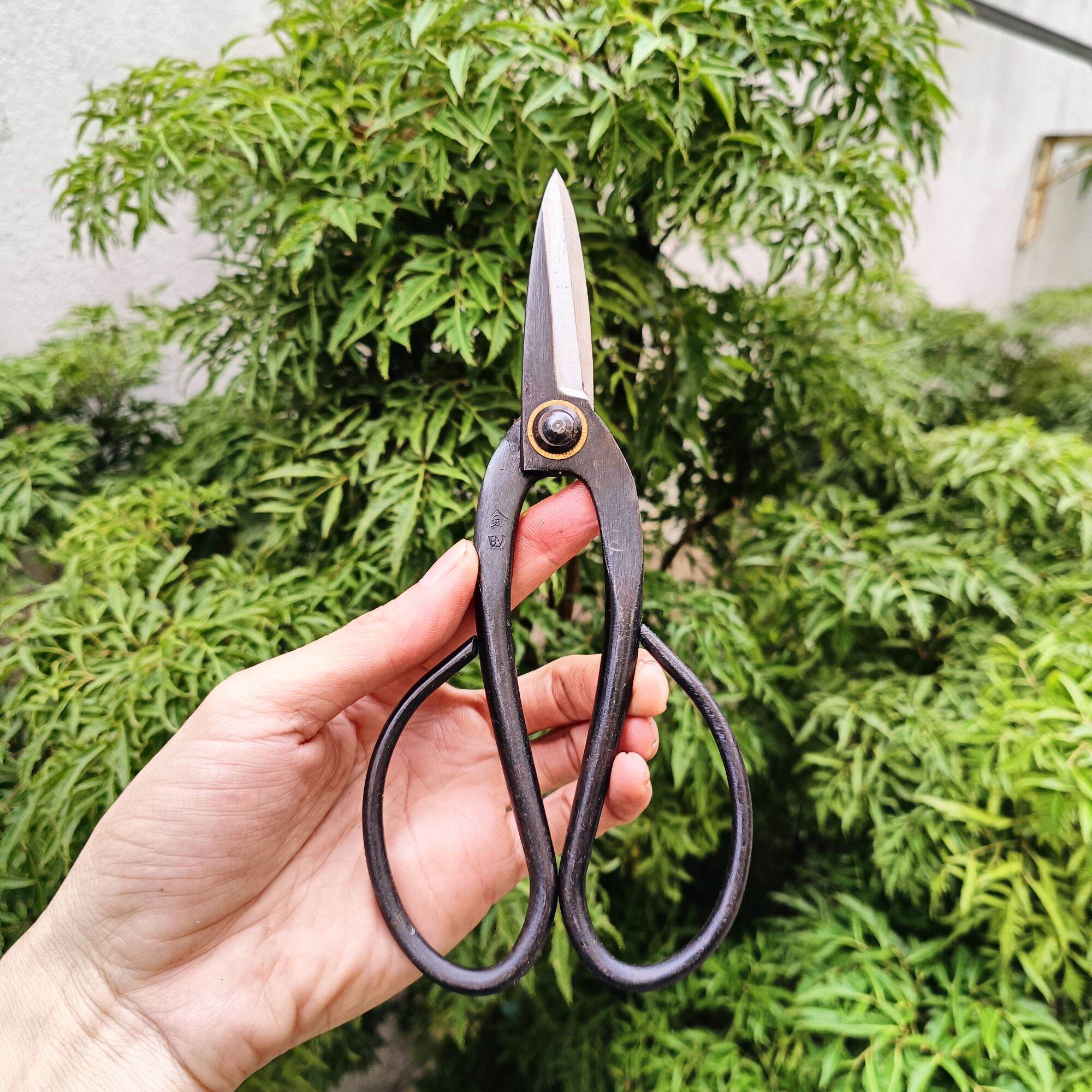 Kéo tỉa cành tỉa dăm bonsai