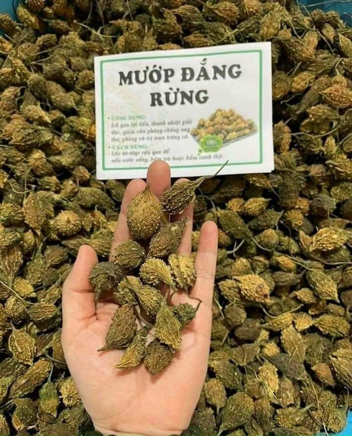 Mướp đắng rừng 1kg/gói - dược liệu tây bắc