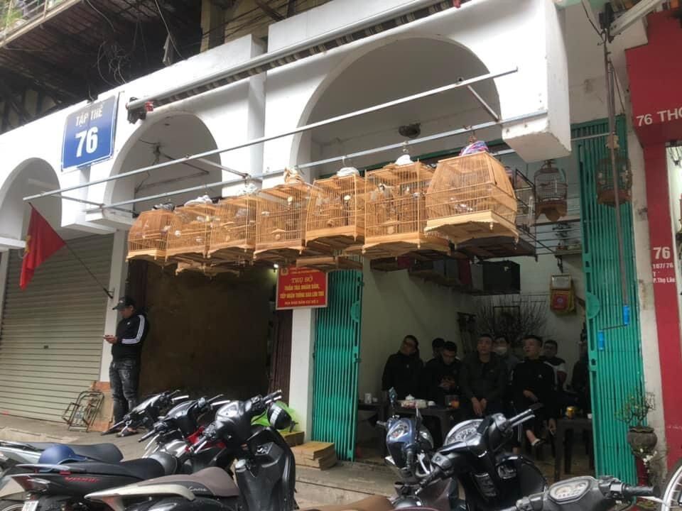Cám chào mào Lão Đại 500gr