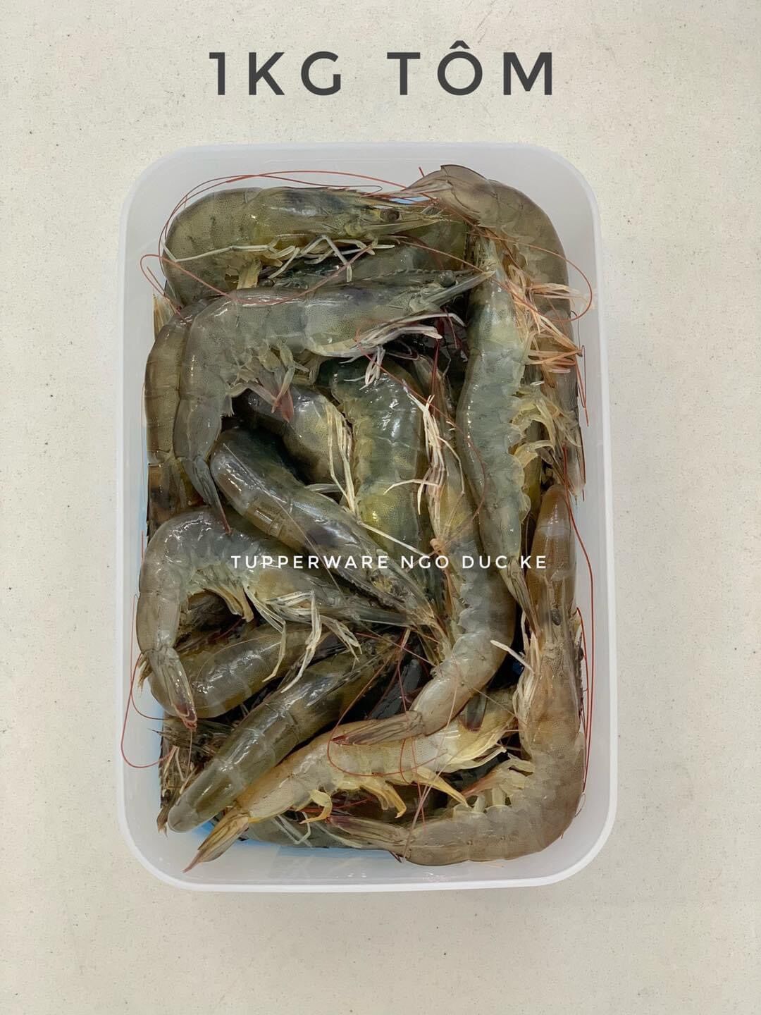 Hộp đông 1.5L Tupperware