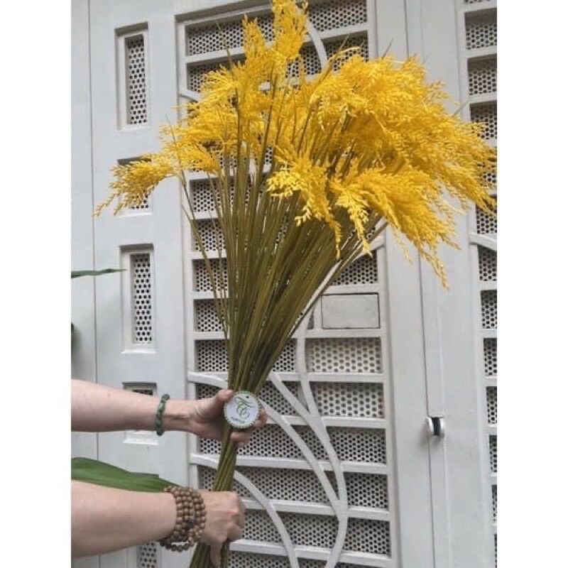 5 bông lúa vàng phong thủy tài lộc decor phòng, phòng khách trang trí nhà