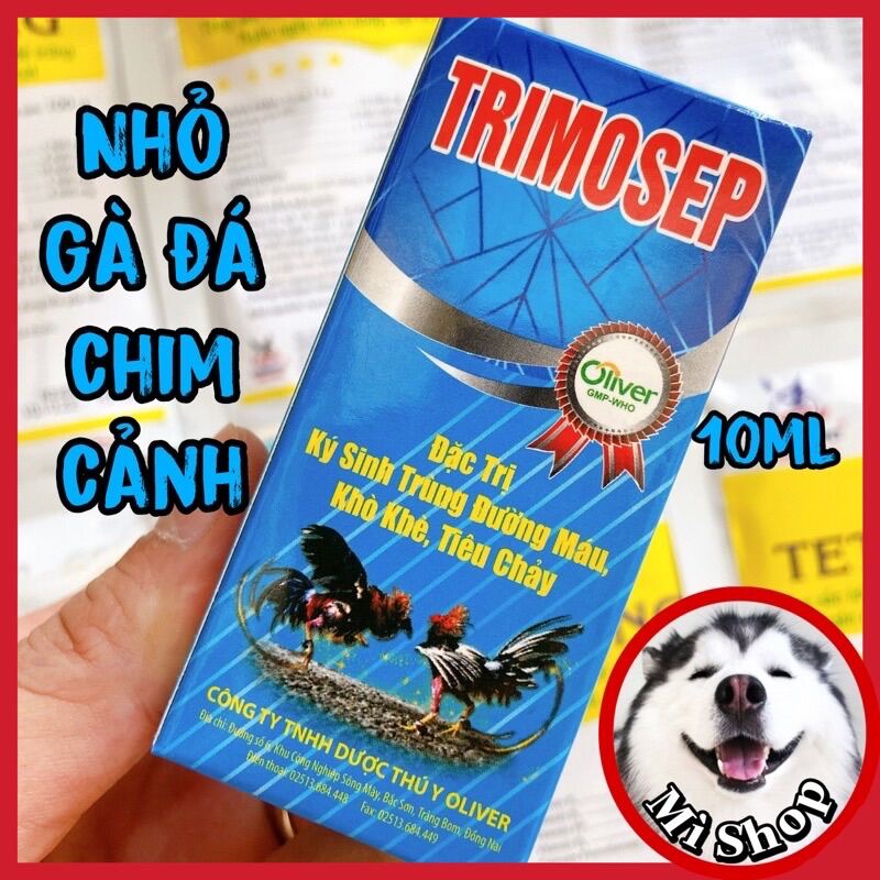 Trimosep 10ml gà đá, thuốc gà đá bị ký sinh trùng, khò khè